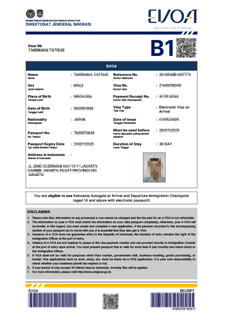 Approved Indonesia e-VOA