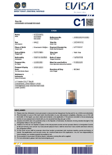 c1 visitor visa