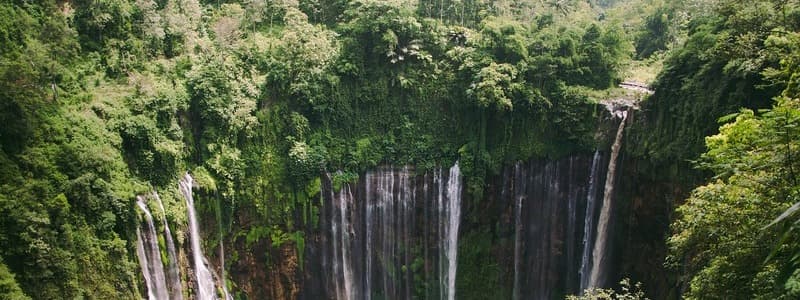 Indonesia Visa Exception